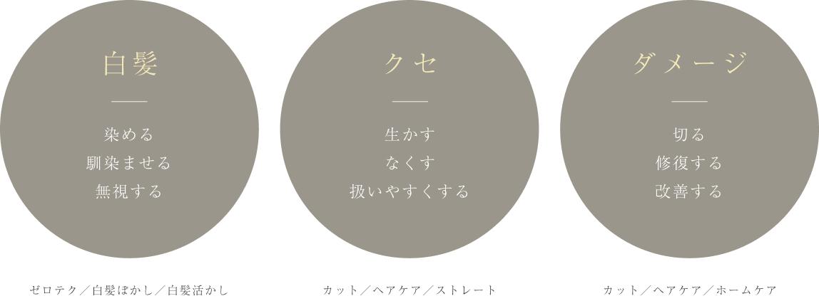 白髪・クセ・ダメージ