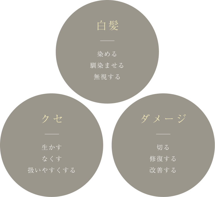 白髪・クセ・ダメージ